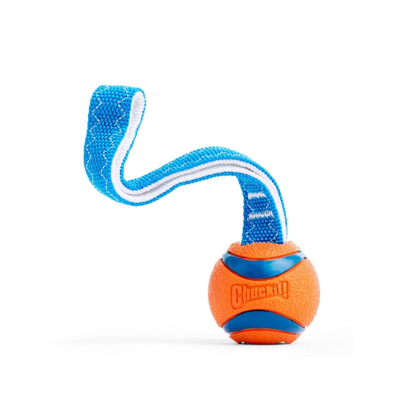 Chuckit! Ultra Tug Dog Toy, Small Fetch and Dog Ball Tug Toy for Dogs 0-20 Pounds - Image 1